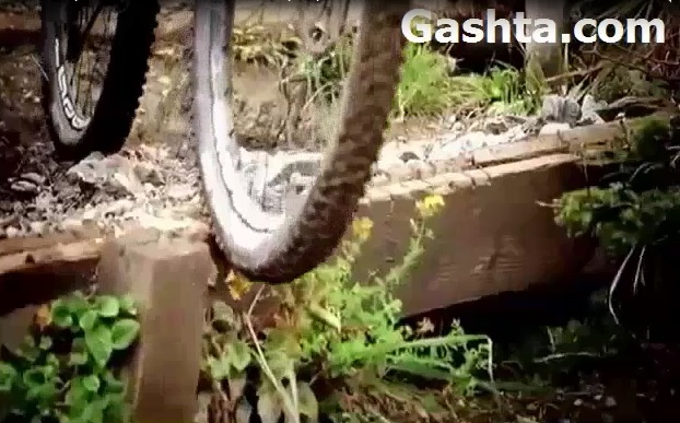 فیلم تکنیکهای دوچرخه سواری در سراشیبی پله دار
