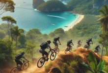 طراحی بی‌نظیر مسیرهای مسابقه دوچرخه کوهستان دانهیل