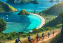 تنوع مسابقات دوچرخه کوهستان